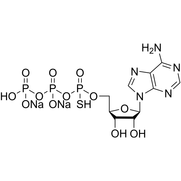 Adenosine 5′-O-(1-thiotriphosphate) disodium