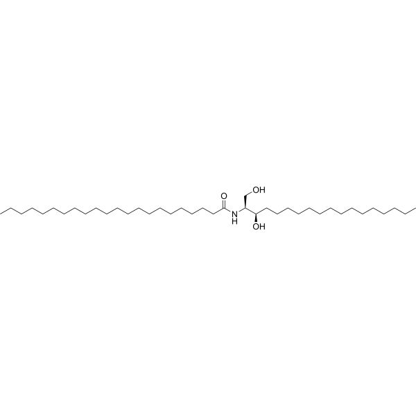 C22-Dihydroceramide