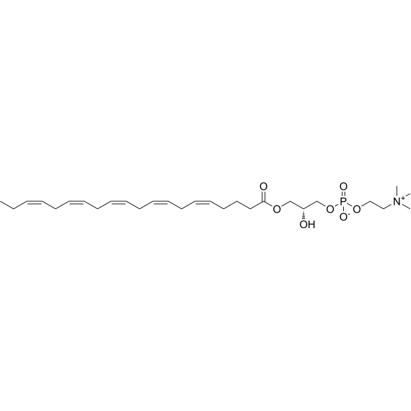 1-Eicosapentaenoyl-sn-glycerol-3-phosphocholine