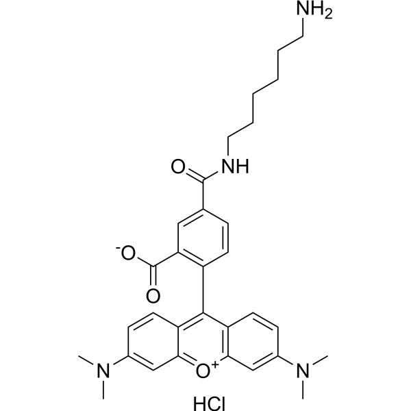 TAMRA amine, 5-isomer hydrochloride