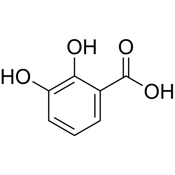 Pyrocatechuic acid (Standard)