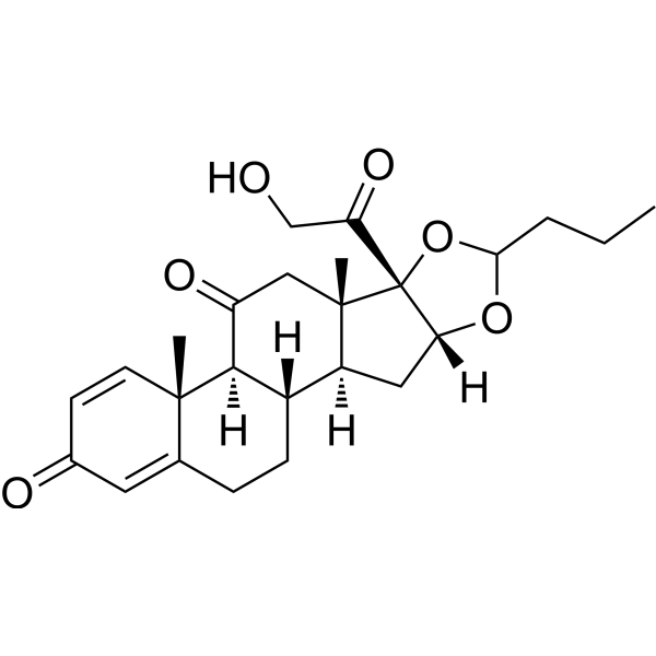 11-Keto Budesonide (Standard)