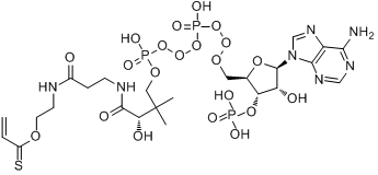 CAS:5776-58-9分子结构