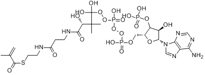CAS:6008-91-9分子结构