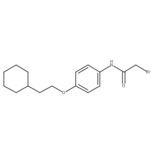 2-Bromo-N-[4-(2-cyclohexylethoxy)phenyl]acetamide Structure