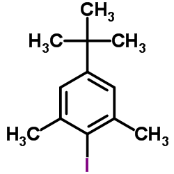 5-叔丁基-2-碘-1,3-二甲基苯结构式