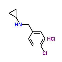 (4-Chloro-benzyl)-cyclopropyl-amine hydrochloride图片