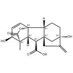 77-06-5 Gibberellic acid