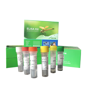 分枝杆菌属通用染料法荧光定量PCR试剂盒,Mycobacterium spp