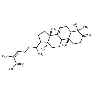 化合物 Masticadienonic acid|T131480|TargetMol