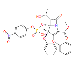 蛋白酶K,Proteinase K