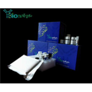 人硫氧还蛋白结合蛋白2(TBP2)ELISA试剂盒 YB74316Hu,TBP2