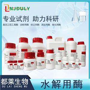 蛋白酶K 来源于林伯氏白色念球菌,Proteinase K from Tritirachium album limber