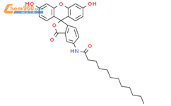 5-十二烷酰氨基荧光素结构式