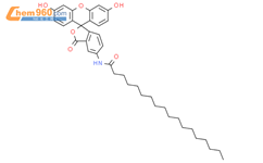5-(十八酰基氨基)荧光素荧光用结构式