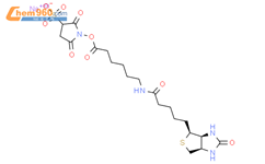 5-乙基尿嘧啶CAS号127062-22-0