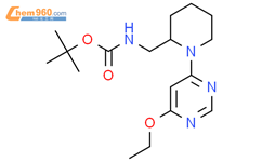 (1-(6-乙氧基嘧啶-4-基)哌啶-2-基)甲基)氨基甲酸叔丁酯CAS号1353989-78-2