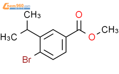 4-溴-3-异丙基苯甲酸甲酯CAS号2169639-98-7