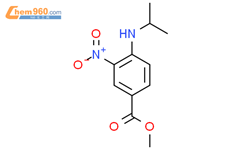 4-异丙基氨基-3-硝基苯甲酸甲酯CAS号234751-02-1
