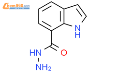 1H-Indole-7-carbohydrazideCAS号321309-24-4