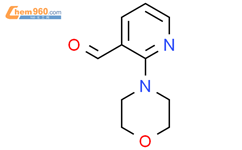 2-吗啉基吡啶-3-甲醛CAS号465514-09-4
