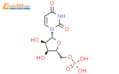 尿苷單磷酸CAS号58-97-9