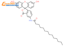 5-(十四酰氨基)荧光素结构式图片|75796-37-1结构式图片