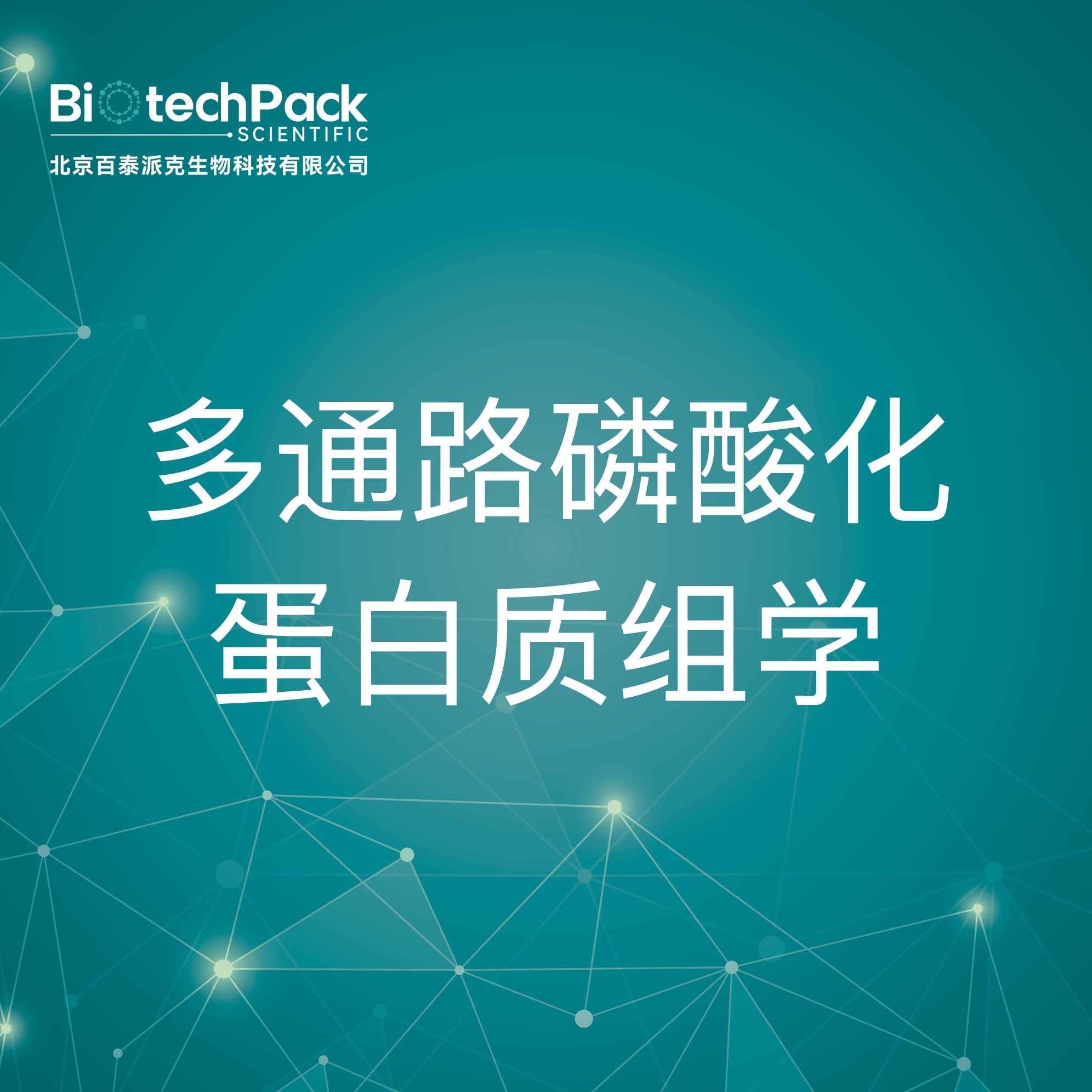 多通路磷酸化蛋白质组学-检测技术服务