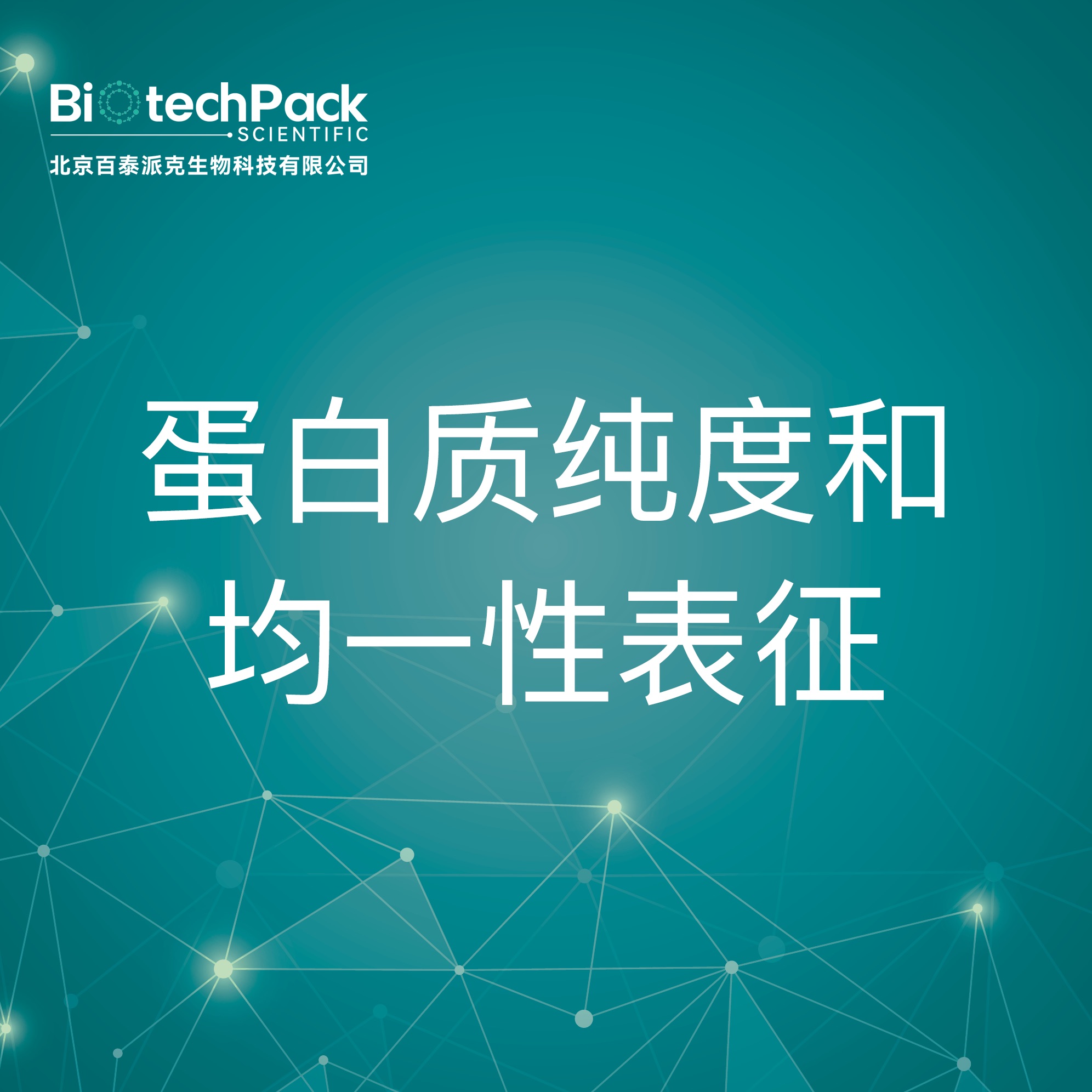 蛋白质纯度和均一性表征-检测技术服务