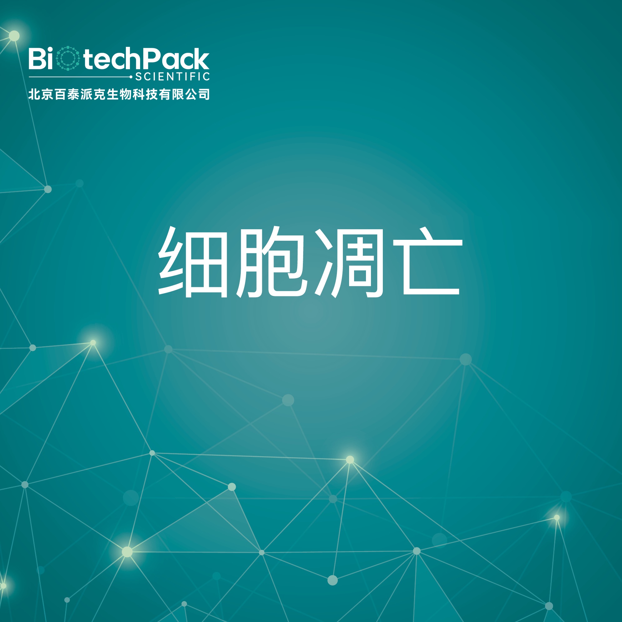 细胞凋亡-检测技术服务