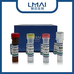 Minute Virus of Mice(MVM)小鼠微小病毒PCR试剂盒