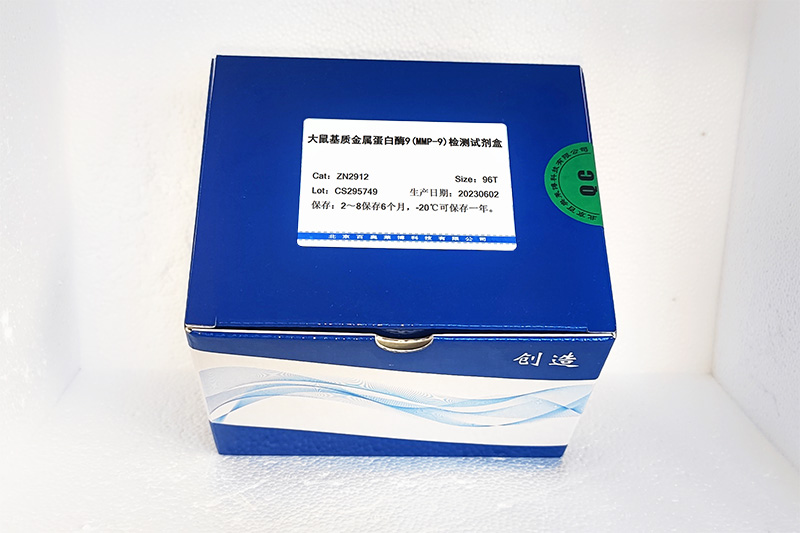 大鼠基质金属蛋白酶9(MMP-9)检测试剂盒