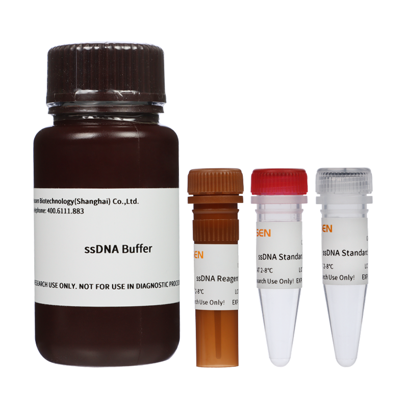 单链DNA(ssDNA)荧光定量检测试剂盒 ssDNA Assay Kit