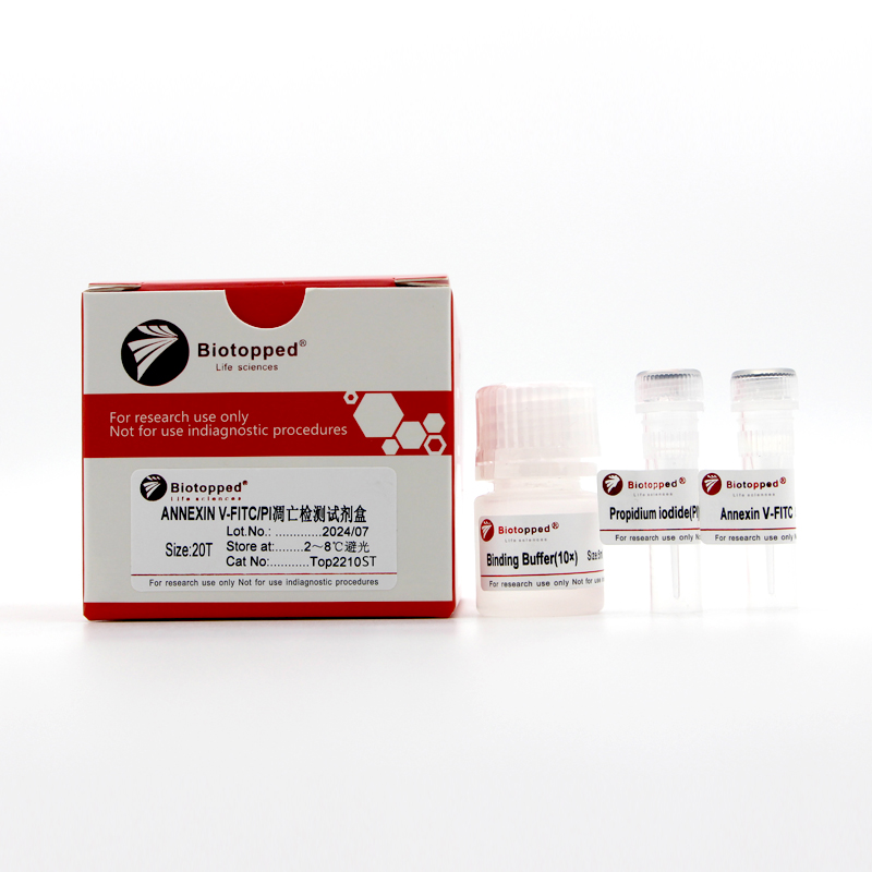 ANNEXIN V-FITC/PI凋亡检测试剂盒,无菌