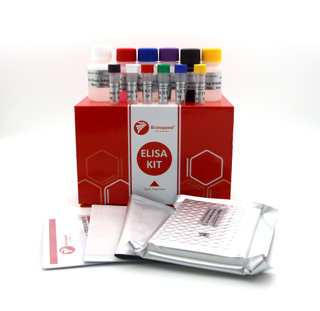 大鼠5核苷酸酶(5-NT)ELISA Kit