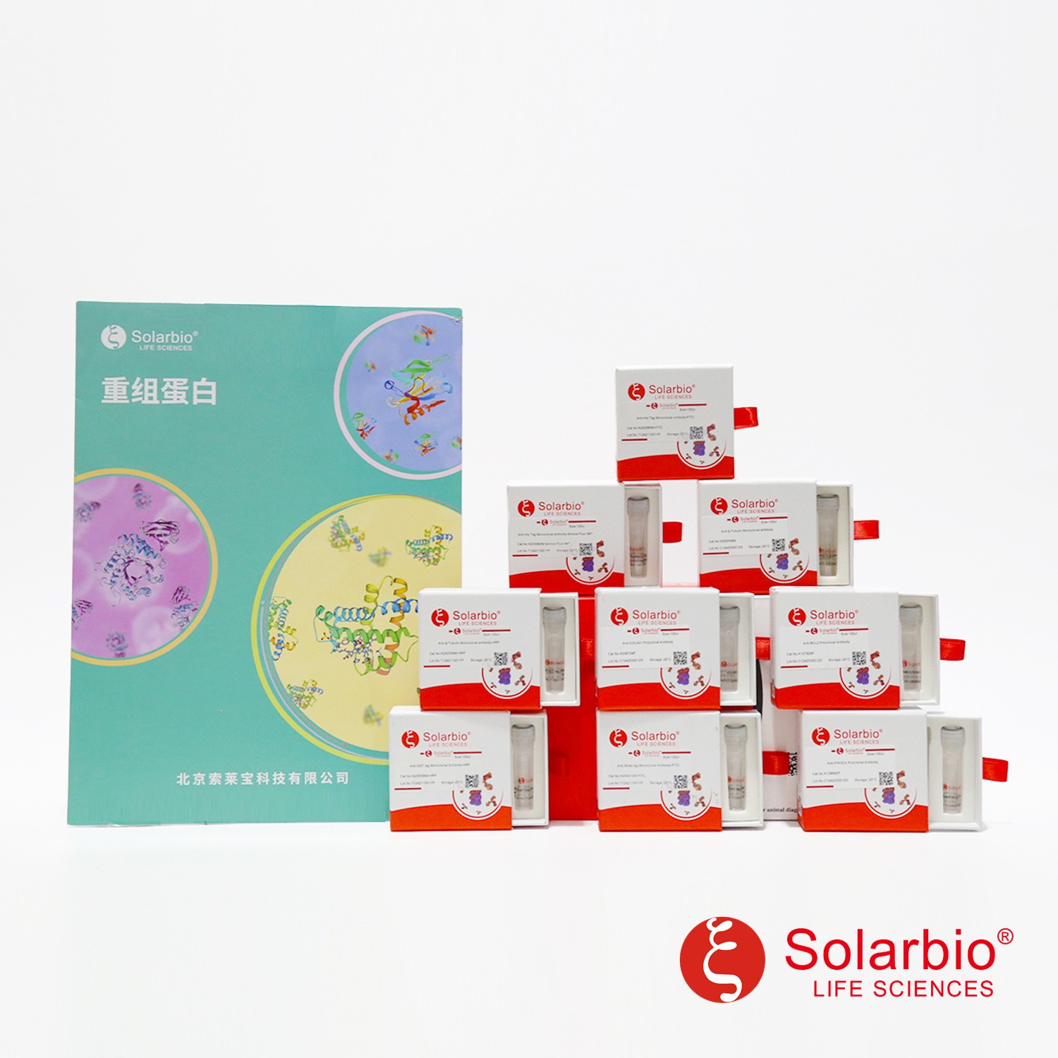 重组链球菌蛋白G(r-SPG) r-protein G