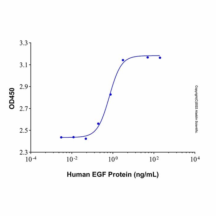 Recombinant Human EGF Protein