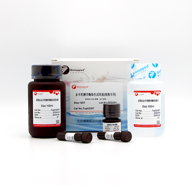 β-半乳糖苷酶染色试剂盒(细胞专用)