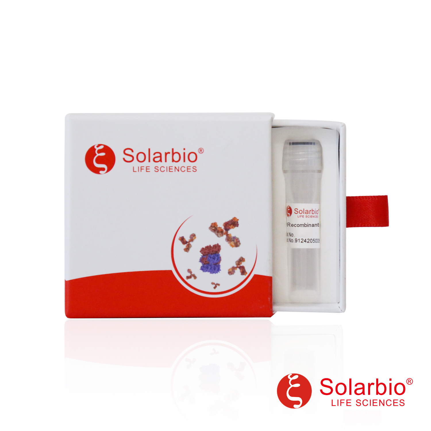 Recombinant human MIF4GD protein
