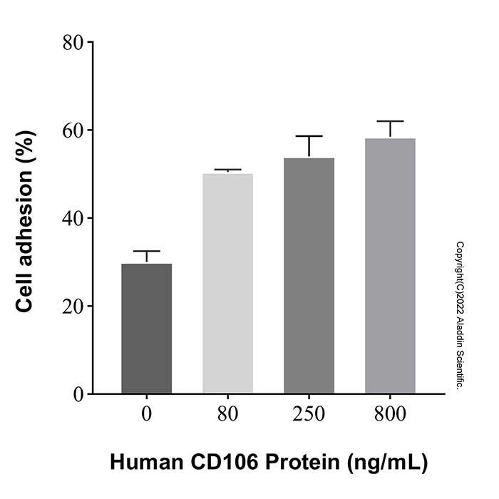 Recombinant Human VCAM-1/CD106 Protein