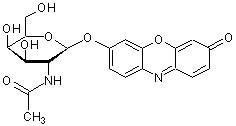 试卤灵β-DN-乙酰半乳糖胺