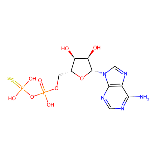 [³⁵S]ADPβS