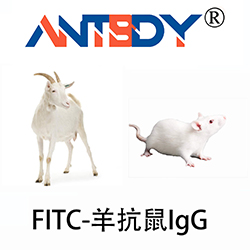 FITC-羊抗鼠IgG