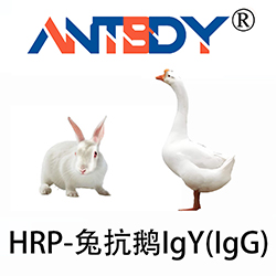 HRP-兔抗鹅IgY(IgG)