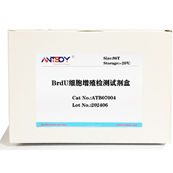 人胰岛素酶联免疫吸附测定试剂盒