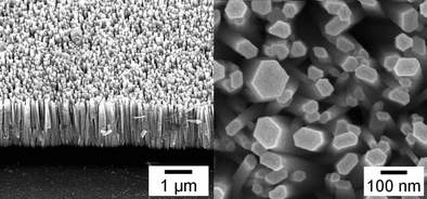 Graphical abstract: Growth conditions for wurtzite zinc oxide films in aqueous solutions