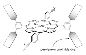 Graphical abstract: Synthesis of perylene–porphyrin building blocks and rod-like oligomers for light-harvesting applications