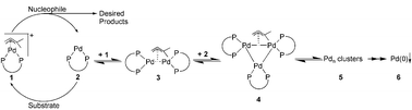 Graphical abstract: Deactivation processes of homogeneous Pd catalysts using in situ time resolved spectroscopic techniques