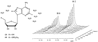 Graphical abstract: Site-specific solvation determined by intermolecular nuclear Overhauser effect—measurements and molecular dynamics