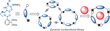 Graphical abstract: Metal-ion induced amplification of three receptors from dynamic combinatorial libraries of peptide-hydrazones